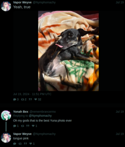 dog.png