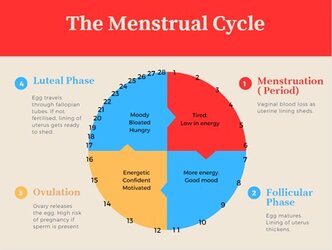 MenCycle.jpg