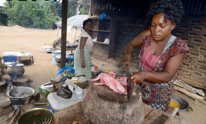 bushmeat-africa-4224865519.jpg