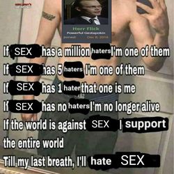 herr flick the sex hater.png