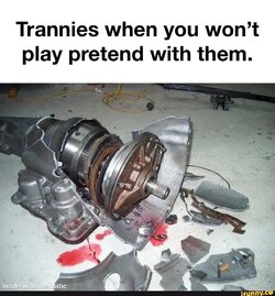 IMG_0066.jpeg