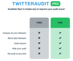 twiaudit1.png