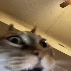 MATI.gif