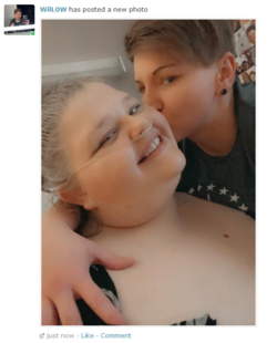 willow.png