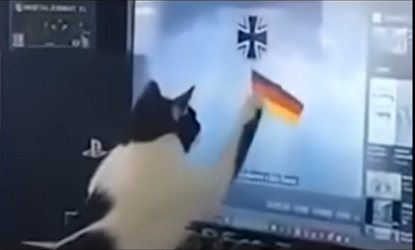 heil.png
