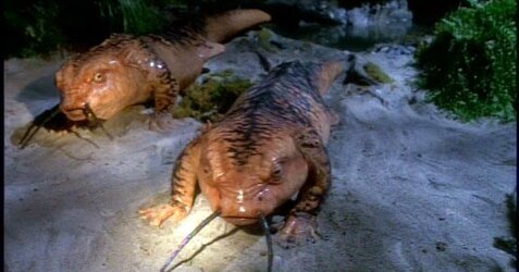Tom-Paris-Kathryn-Janeway-Lizard-Threshold-Star-Trek-Voyager.jpeg