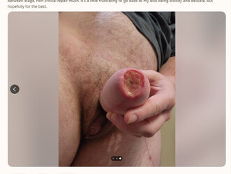 Rotdog_outpatient4.jpg