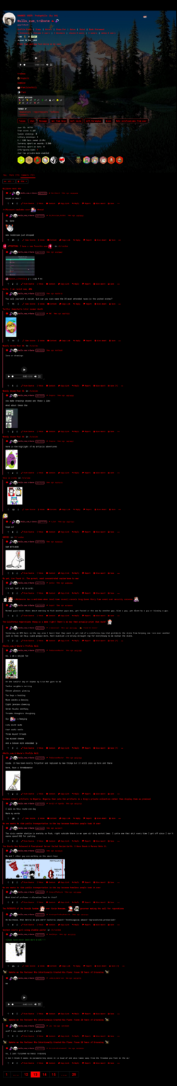 13.png