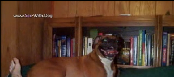 paul vic 21.png