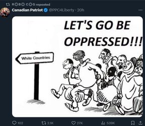 cog1.jpg