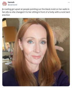 Screenshot 2024-08-05 at 13-21-21 hannah on X jk rowling got upset at people pointing out the ...png