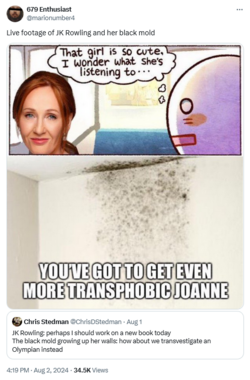 Screenshot 2024-08-05 at 13-21-02 679 Enthusiast on X Live footage of JK Rowling and her black...png