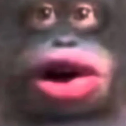1722879360919.png
