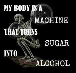 my body is a machine that turns sugar into alcohol.png