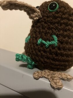 IMG_8213.jpeg