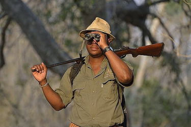 zimbabwe carry.png