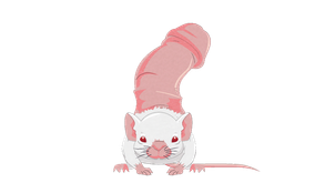 1000013917.png