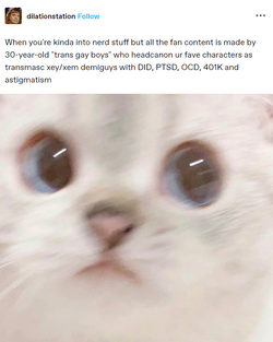 1723002740038.png