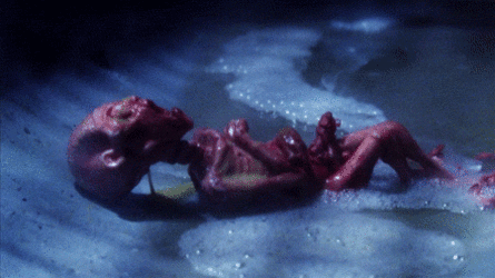 bogbaby.gif