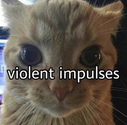 1723083740467.png