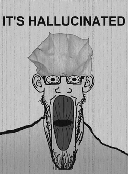 its hallucinated.gif