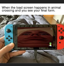 IMG_0278.jpeg