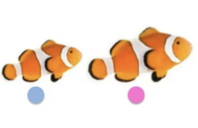 1.png