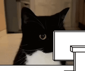 unicoon.gif