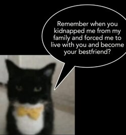kidnap.jpg