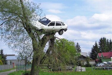 car in tree.jpg