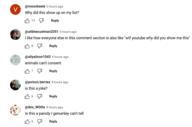 Comments 1.png