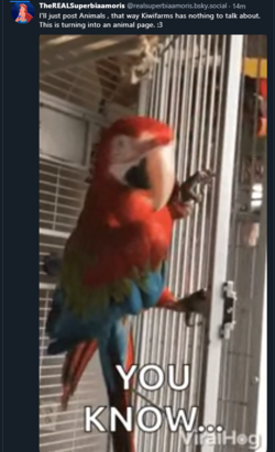 1723169275442.png