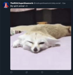 1723169314051.png