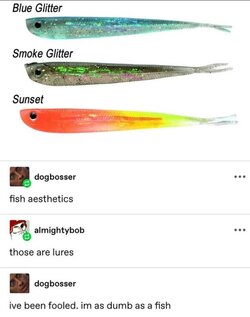 fishaesthetics.jpg
