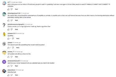 New Comments 2.png