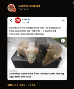 mouse yaoi.PNG