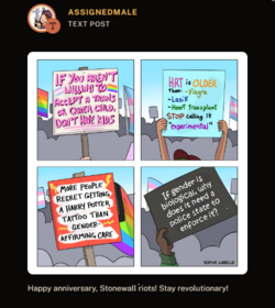 assigned male.PNG