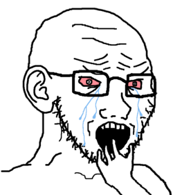 1723408872986.png