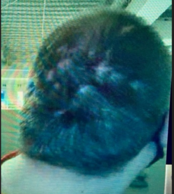 Andys head after.png