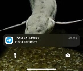 Screenshot_20240812_074402_Gallery.jpg