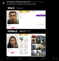 1723481156737.png