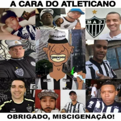IMG_20240812_182747_455.png