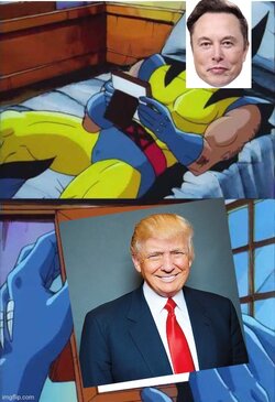 9049qp.jpg