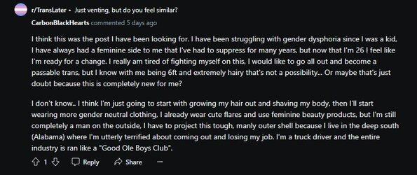 transreddit.jpg