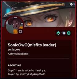 sonice.png