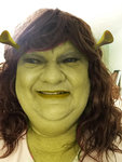 T Shrek 1.jpg