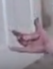 damnthathandnice.png
