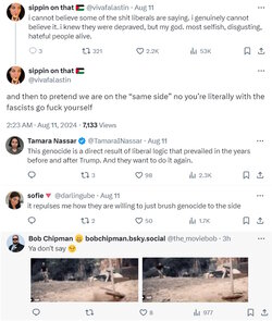lib.jpg