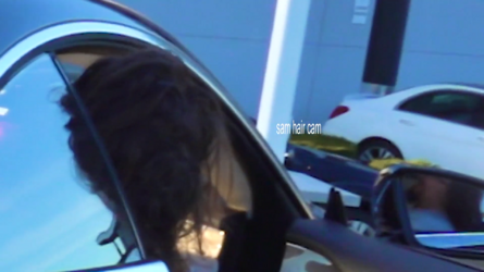 sam hair cam.png