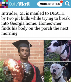 1723588102481.png